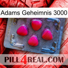 Adams Secret 3000 13